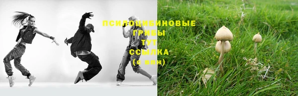 гашик Заволжск