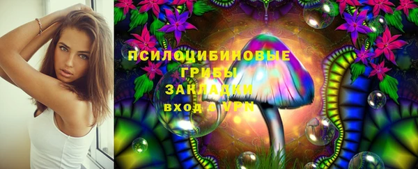 гашик Заволжск
