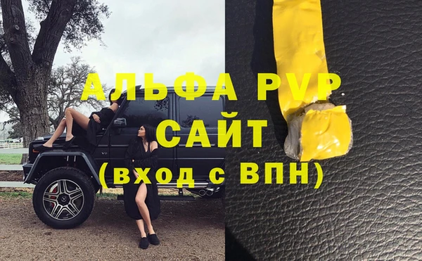 гашик Заволжск