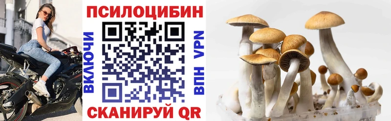 Псилоцибиновые грибы мухоморы  Купить  Весьегонск 